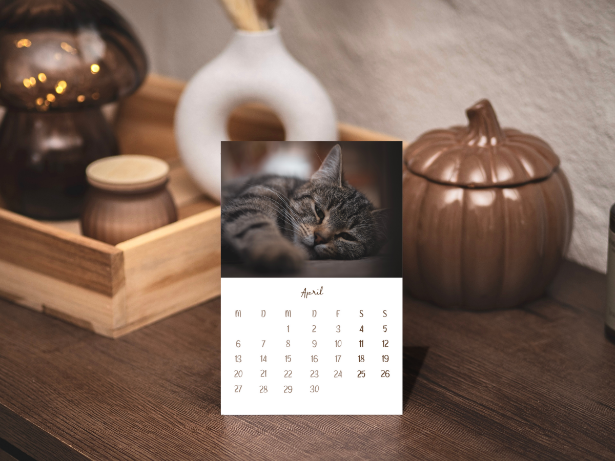 Tischkalender 2026 Katzen | Vorbestellung