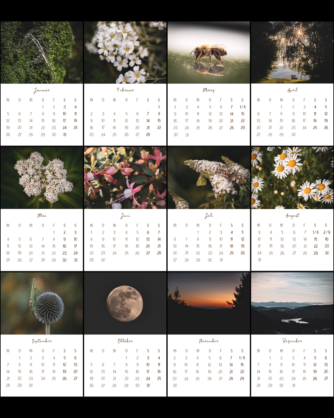 Tischkalender 2026 Natur | Vorbestellung