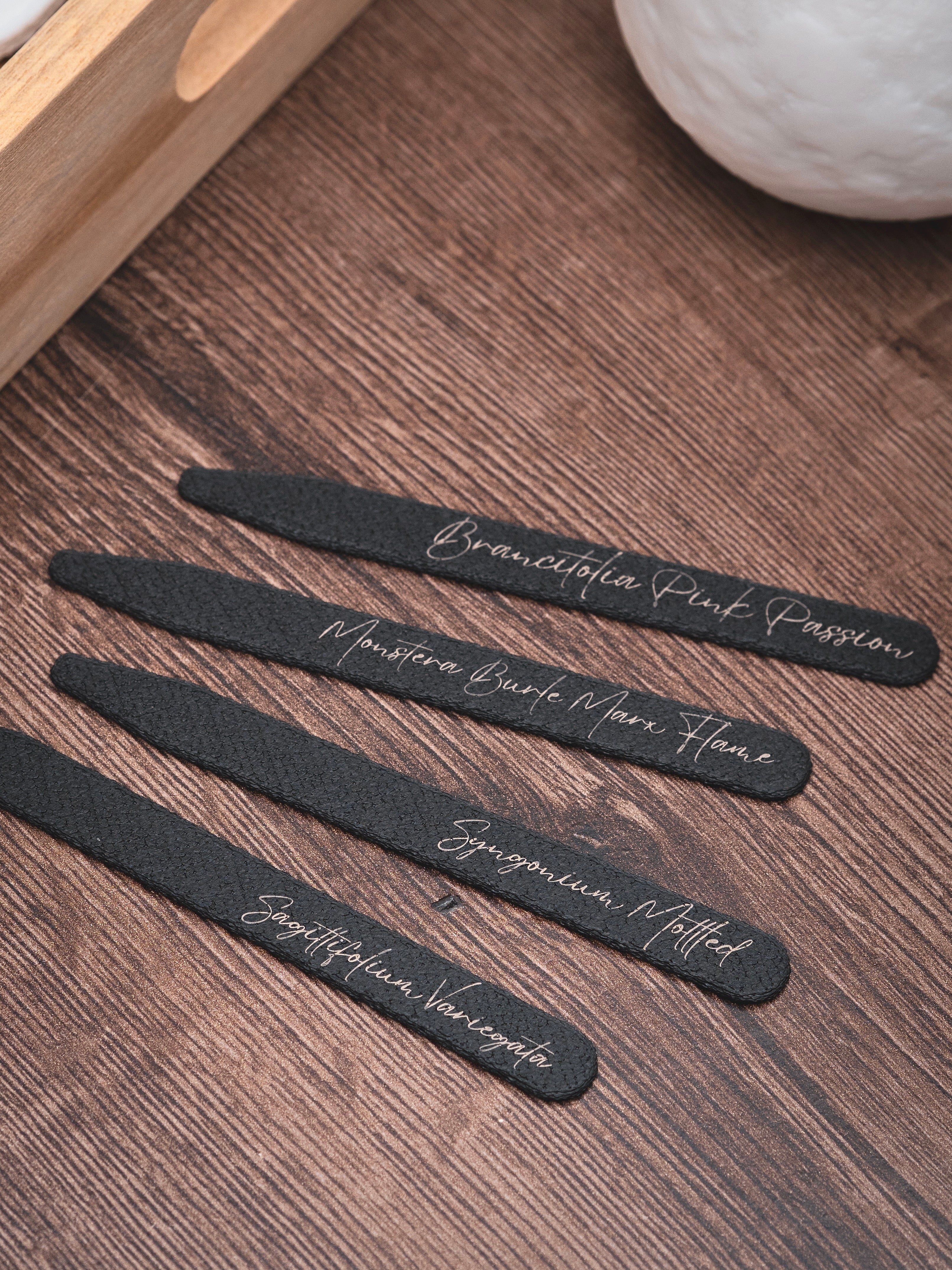 Pflanzenstecker in schwarz | personalisierbar