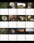 Tischkalender 2026 Natur | Vorbestellung