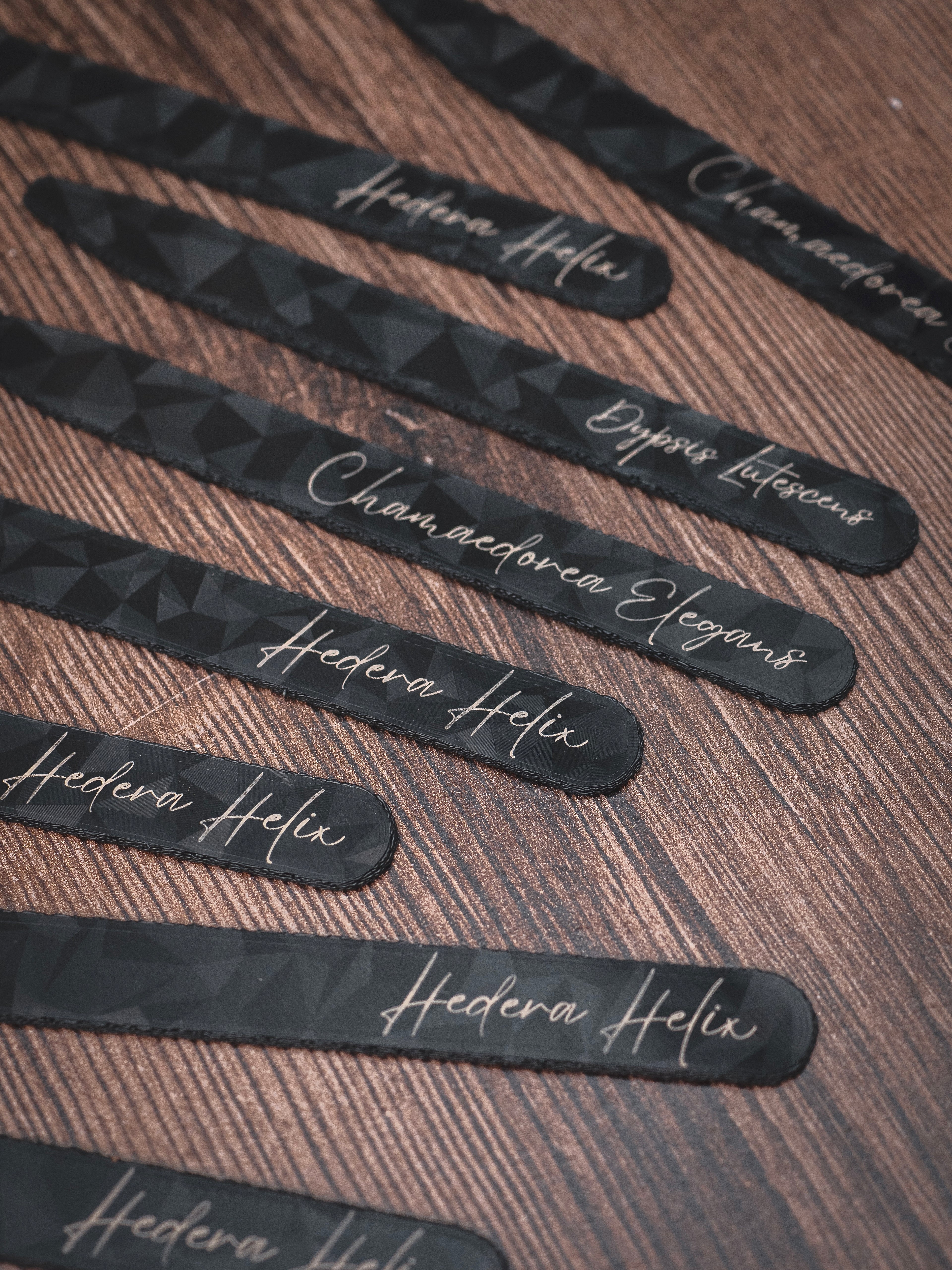 Pflanzenstecker in schwarz | personalisierbar